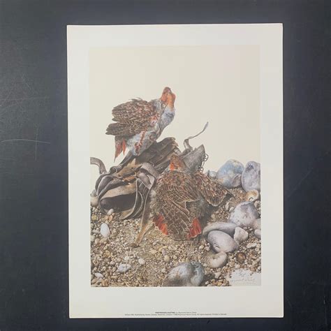 Lot Raymond Harris Ching S Partridges Dusting Limited Edition Print