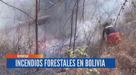 Incendios Forestales En Bolivia Red Uno Sur