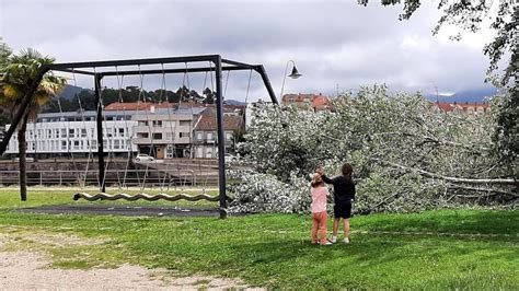 Un árbol se rompe en el parque infantil de A Ramallosa Faro de Vigo