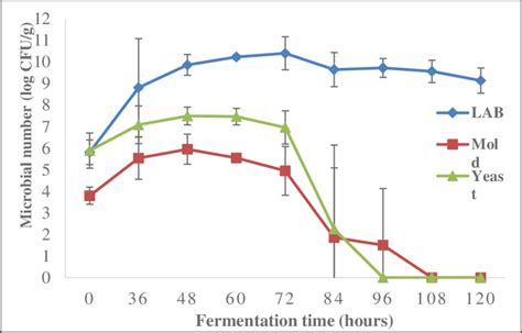 Growth Of Lactic Acid Bacteria Lab Mold And Yeast During Mlanding