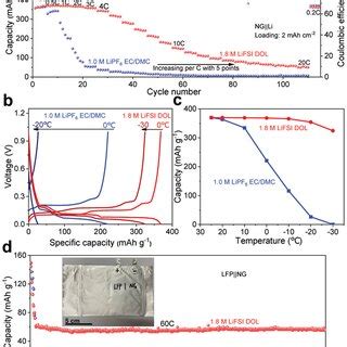 Electrochemical Performance Of Graphite Anodes In Half Cells A Rate