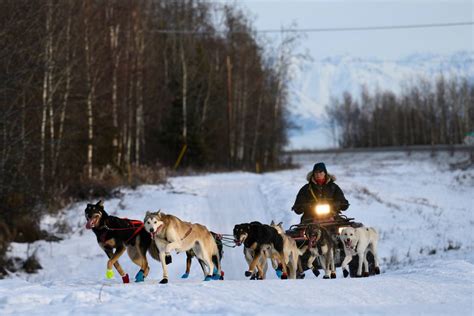 This Years Iditarod Sign Ups Matched The All Time Low Heres Whats