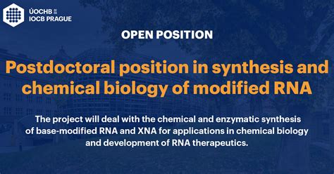 Postdoctoral Position In Synthesis And Chemical Biology Of Modified Rna