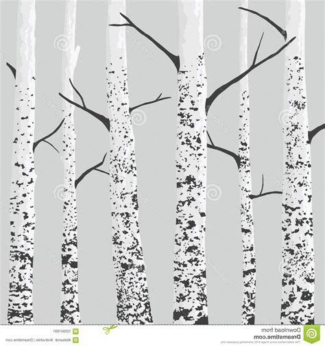 Birch Tree Vector at Vectorified.com | Collection of Birch Tree Vector ...