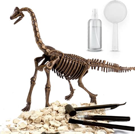 Amazon Kidewan Kit De F Siles De Excavaci N De Dinosaurios Para