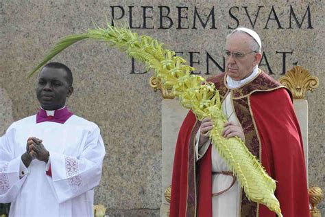 Perché si celebra la Domenica delle Palme Ecco cosa significa l ulivo