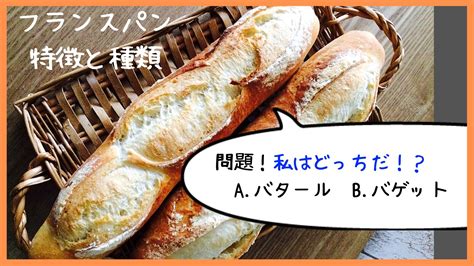 フランスのパン：特徴＆種類を解説【バゲットとバタールの違いは？】 ふくともパンブログ