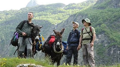 Sur la piste des papillons géants Documentaire où regarder TV Replay