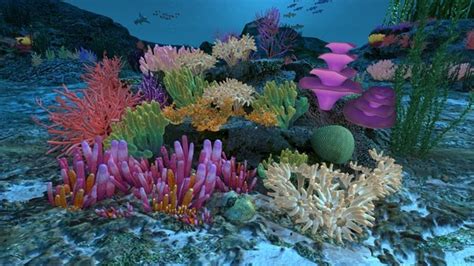 ocean floor coral reefs 3d max