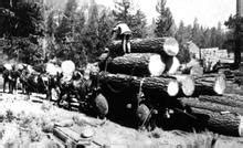 Home [www.laketahoemuseum.org]