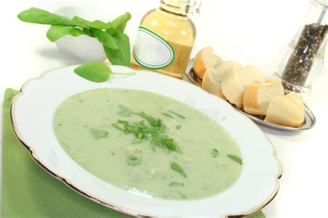 Herbs Soup Stock Image Image Of Meal Chervil Borage 13345139