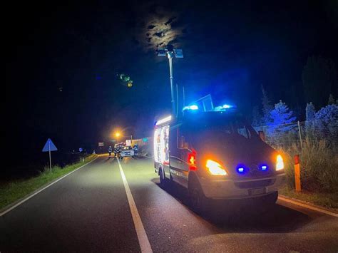 Wildunfall Hirsch auf der Pustertaler Staatsstraße überfahren