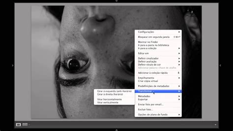 Como Girar E Virar Uma Fotografia O Lightroom 4 YouTube