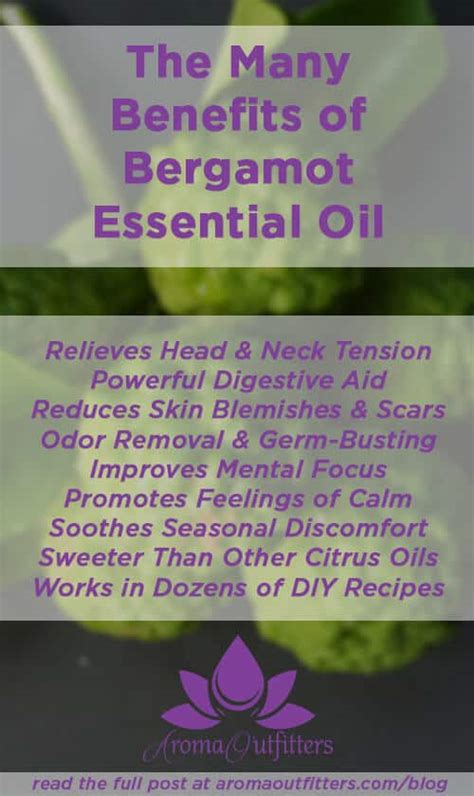 Everything You Need To Know About Bergamot Essential Oil