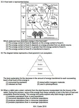 Energy Transfer In Ecosystems Worksheet