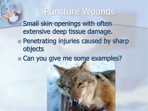 PPT - Chapter 4: Wound Healing, Wound Management, and Bandaging ...