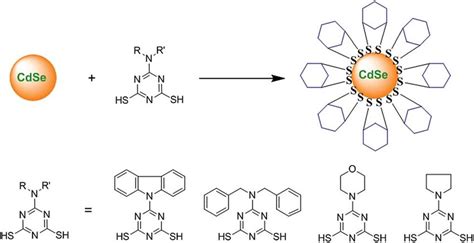 Scheme Mechanism Of Capping Of Cdse Qd Surfaces With Dithiols