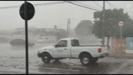 Chuva e vento forte provocam quedas de árvores em Americana VÍDEO