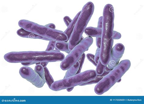 Tropheryma Whipplei Bacteria, the Causative Organism of Whipple`s ...