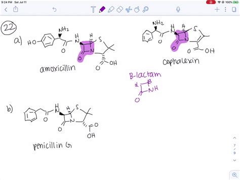 SOLVED The Penicillins and Cephalosporins β Lactam Antibiotics