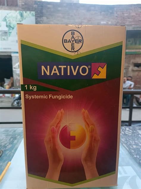 Bayer Nativo Fungicide L Powder At Kg In Thana Bhawan Id