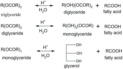 Plausible Hydrolysis Reaction Download Scientific Diagram