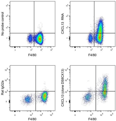 Cxcl13 Monoclonal Antibody Ds8cx13 Apc Ebioscience Invitrogen 100