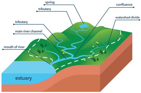 Watersheds | WaterMatters.org 