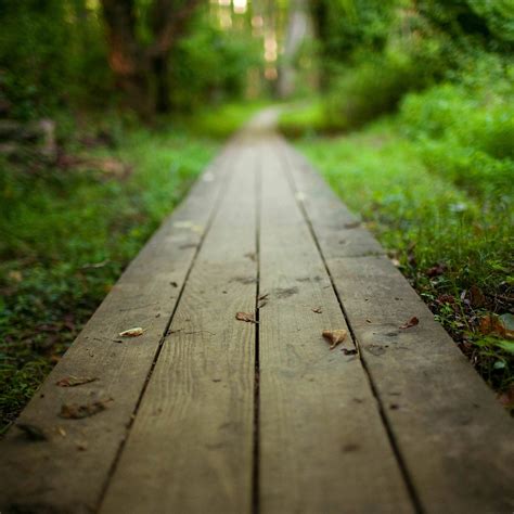 Download Ipad Wallpaper