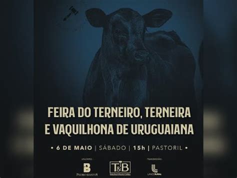 Feira Do Terneiro Terneira E Vaquilhona De Uruguaiana YouTube