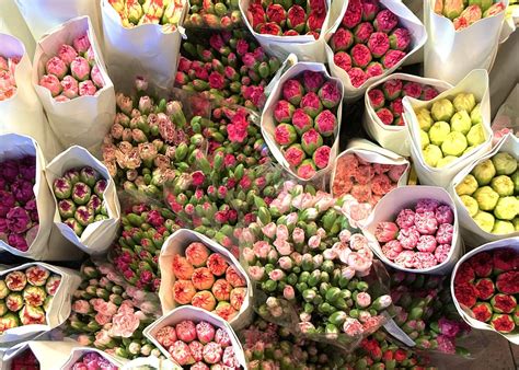 We Know The Ins And Outs Of The Flower Market Honeycombers