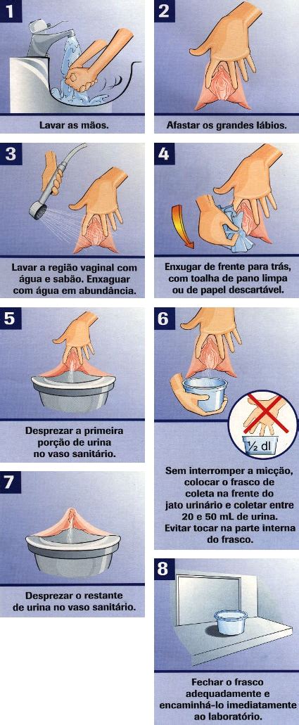 Orienta Es De Coleta Laborat Rio Clinisul