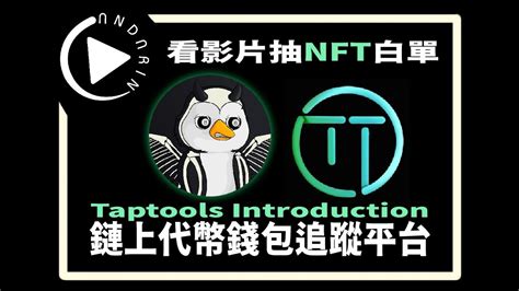 TapTools 代幣錢包追蹤平台 抽熱門 Tappy 企鵝白單 Cardano Chinese Tutorials YouTube