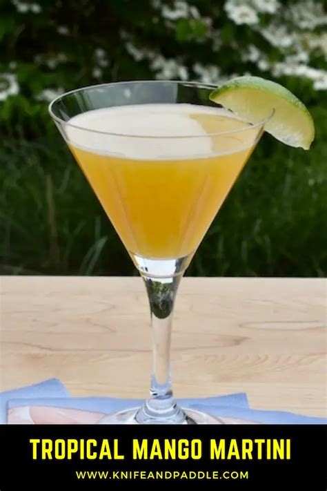 Tropical Mango Martini •