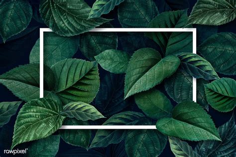 White Frame On A Metallic Green Leaves Textured Background Illustration Premium Image By