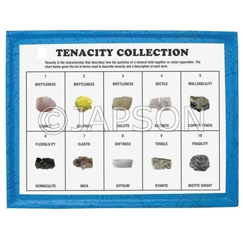 Tenacity Collection, Set of 10