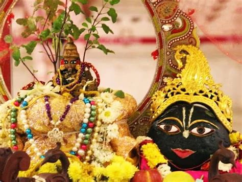 When Is Tulsi Shaligram Marriage Know Auspicious Time And Worship