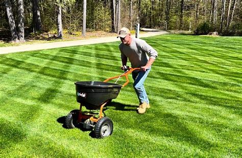 How And When To Fertilize Your Lawn This Fall Green Grounds