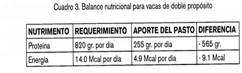 Agropecuarias Requerimientos Nutricionales De Diferentes Especies