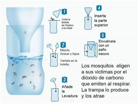 Trampa Para Moscas Casera Aprende C Mo Crearla