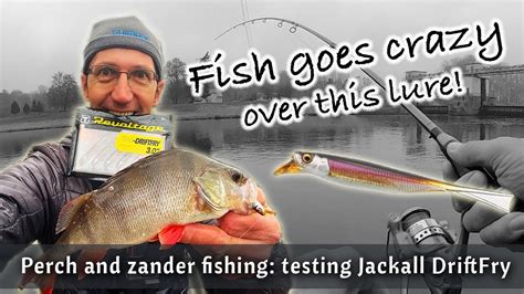 Fish Goes Crazy Over This Lure Perch And Zander Fishing With Jackall