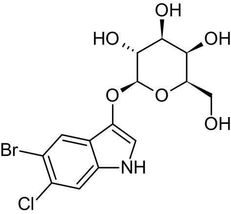 Beta Galactosidase Diagram