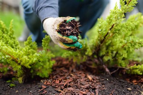 Mulch Installation - LawnMasterspeel