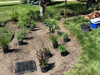 Drainage Raingarden