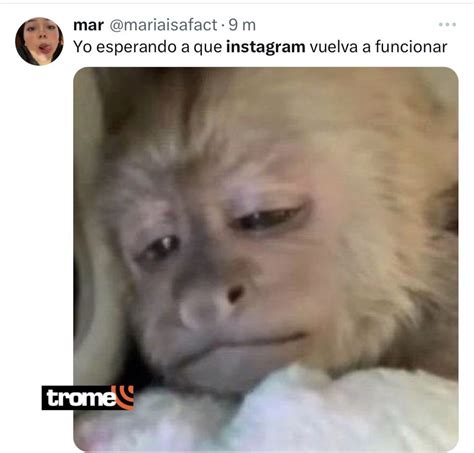 Instagram se cayó Divertidos memes inundan las redes sociales tras