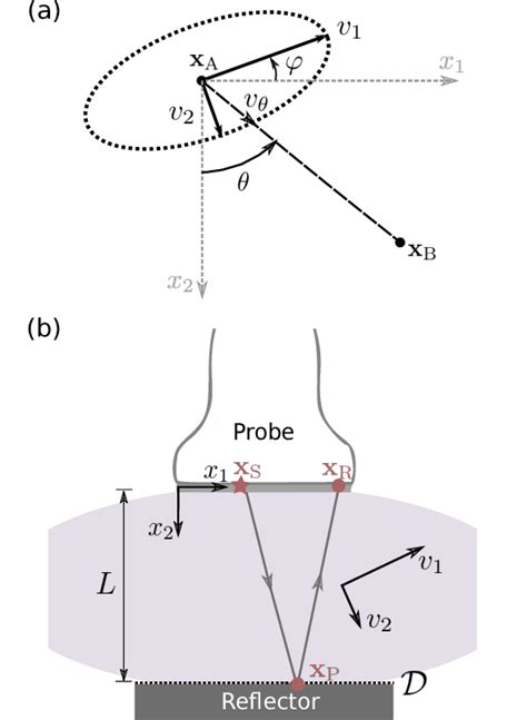 Schematic Representation Of The Anisotropic Medium And Experimental Download Scientific Diagram