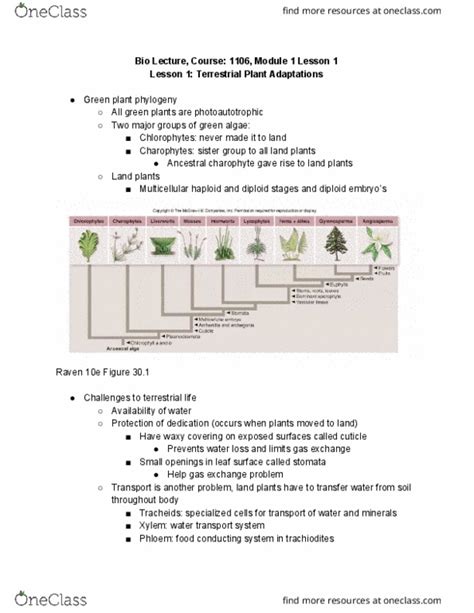 Biol Lecture Plant Diversity Oneclass