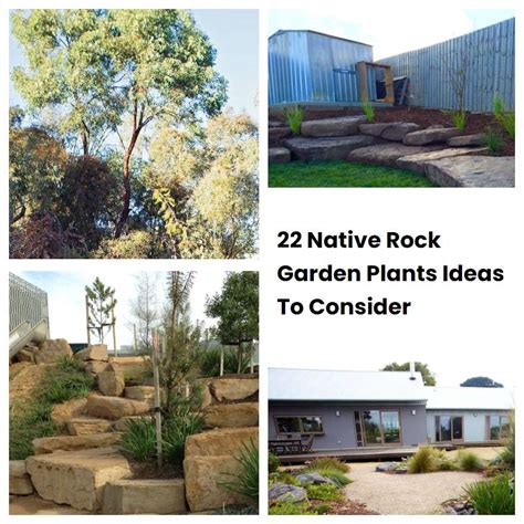 22 Native Rock Garden Plants Ideas To Consider Sharonsable