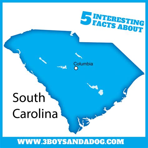 43 Fun Facts About South Carolina Best Place To Learning