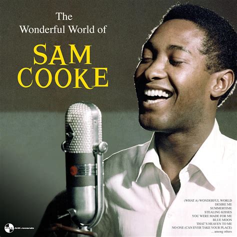 The Wonderful World Of Sam Cooke Cooke Sam Amazon It Musica